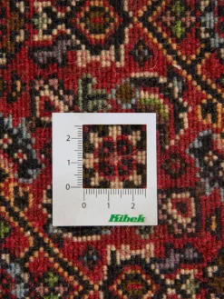 Kibek Bidjar Zandjan