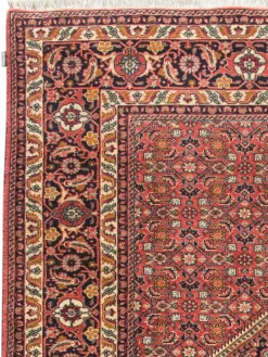 Kibek Bidjar Zandjan