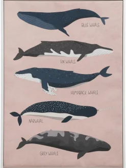 Kibek Big Whales