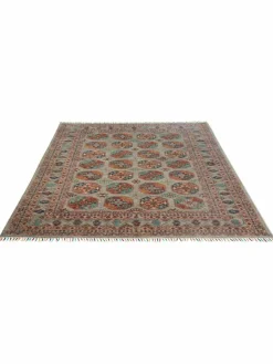 Kibek Buchara Ghazni