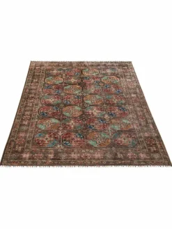 Kibek Buchara Ghazni