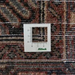 Kibek Chenar Hamadan