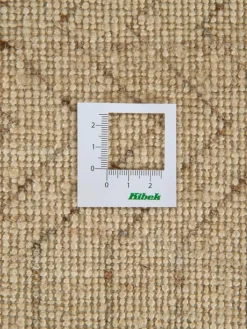 Kibek Contemporary Gabbeh