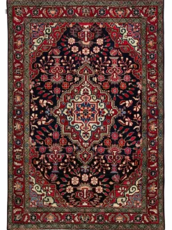 Kibek Djozan Hamadan