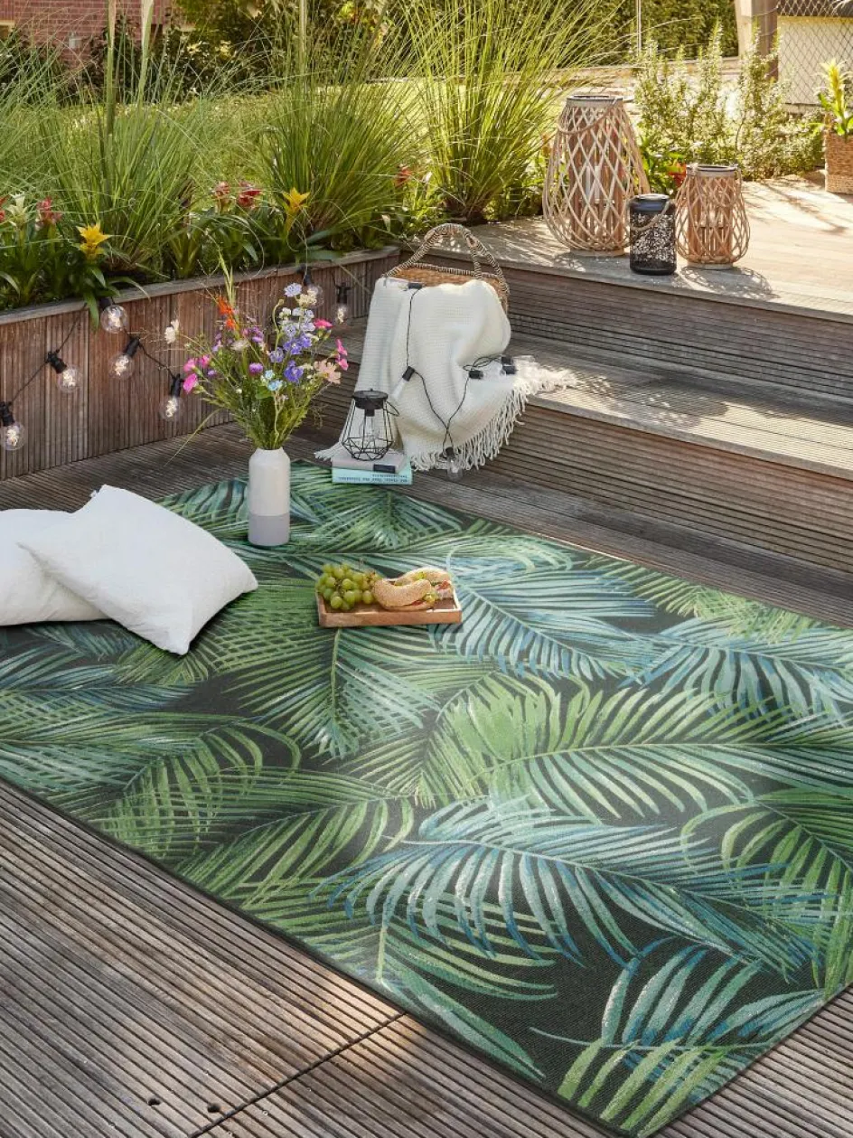 Kinder Kibek Galapagos