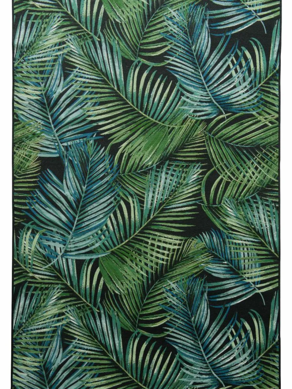 Kinder Kibek Galapagos