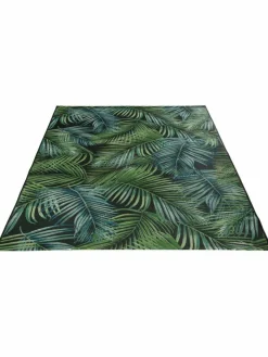 Kinder Kibek Galapagos