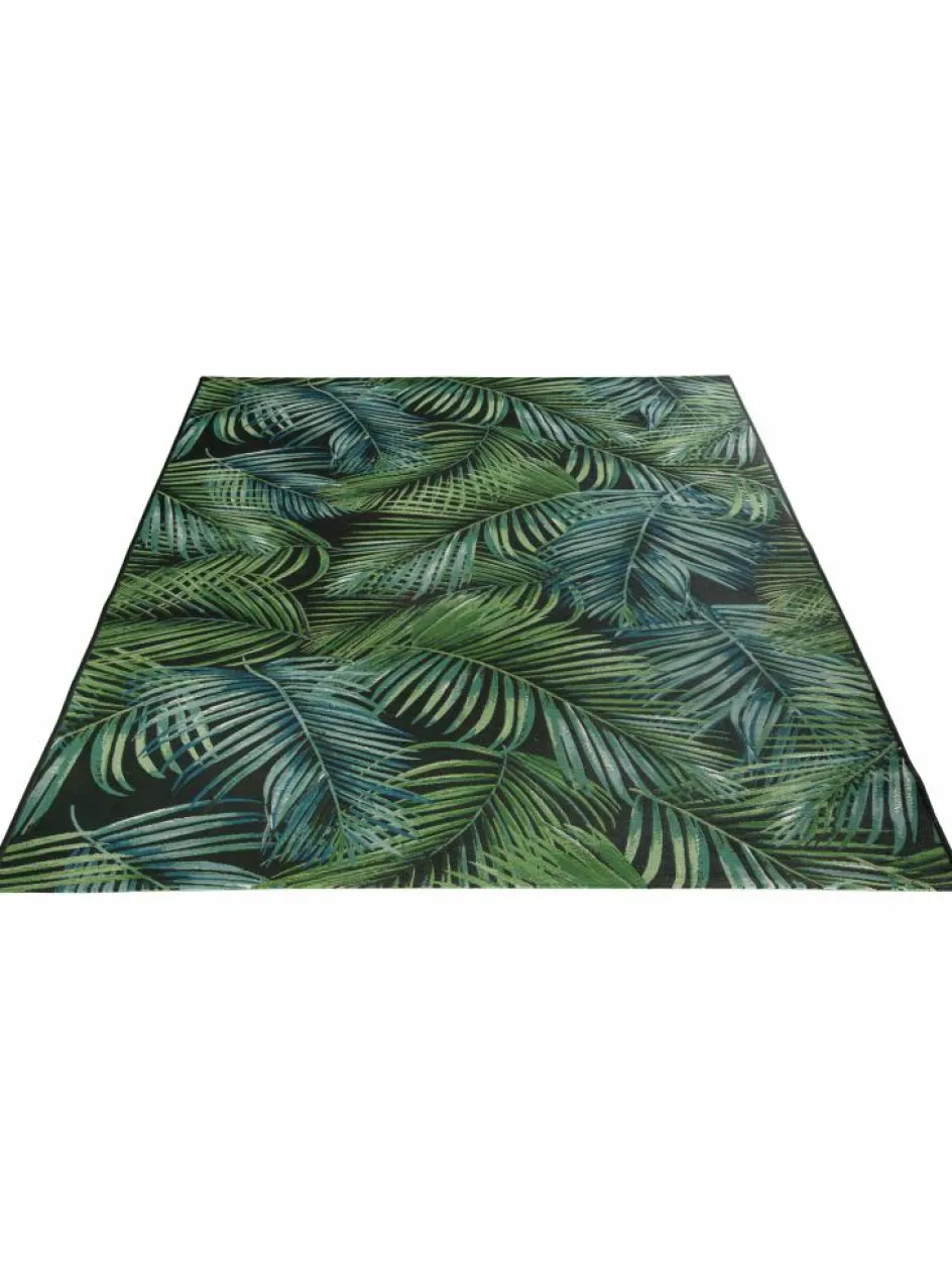 Kinder Kibek Galapagos