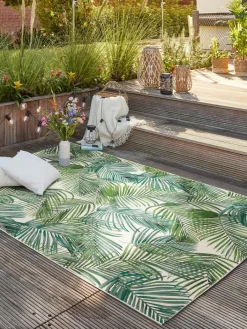 Kinder Kibek Galapagos