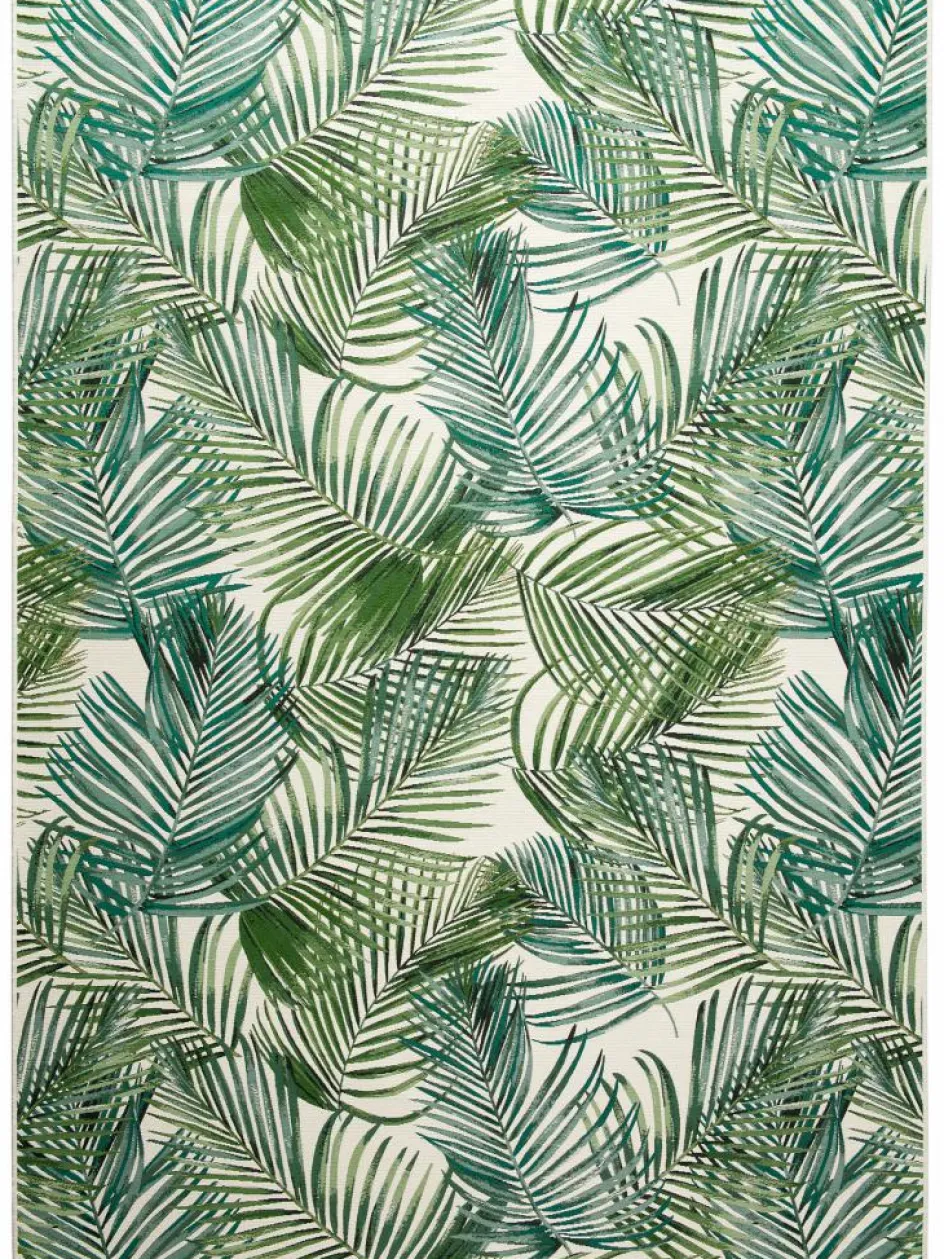 Kinder Kibek Galapagos