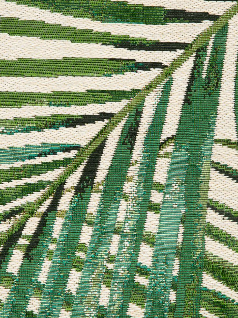 Kinder Kibek Galapagos