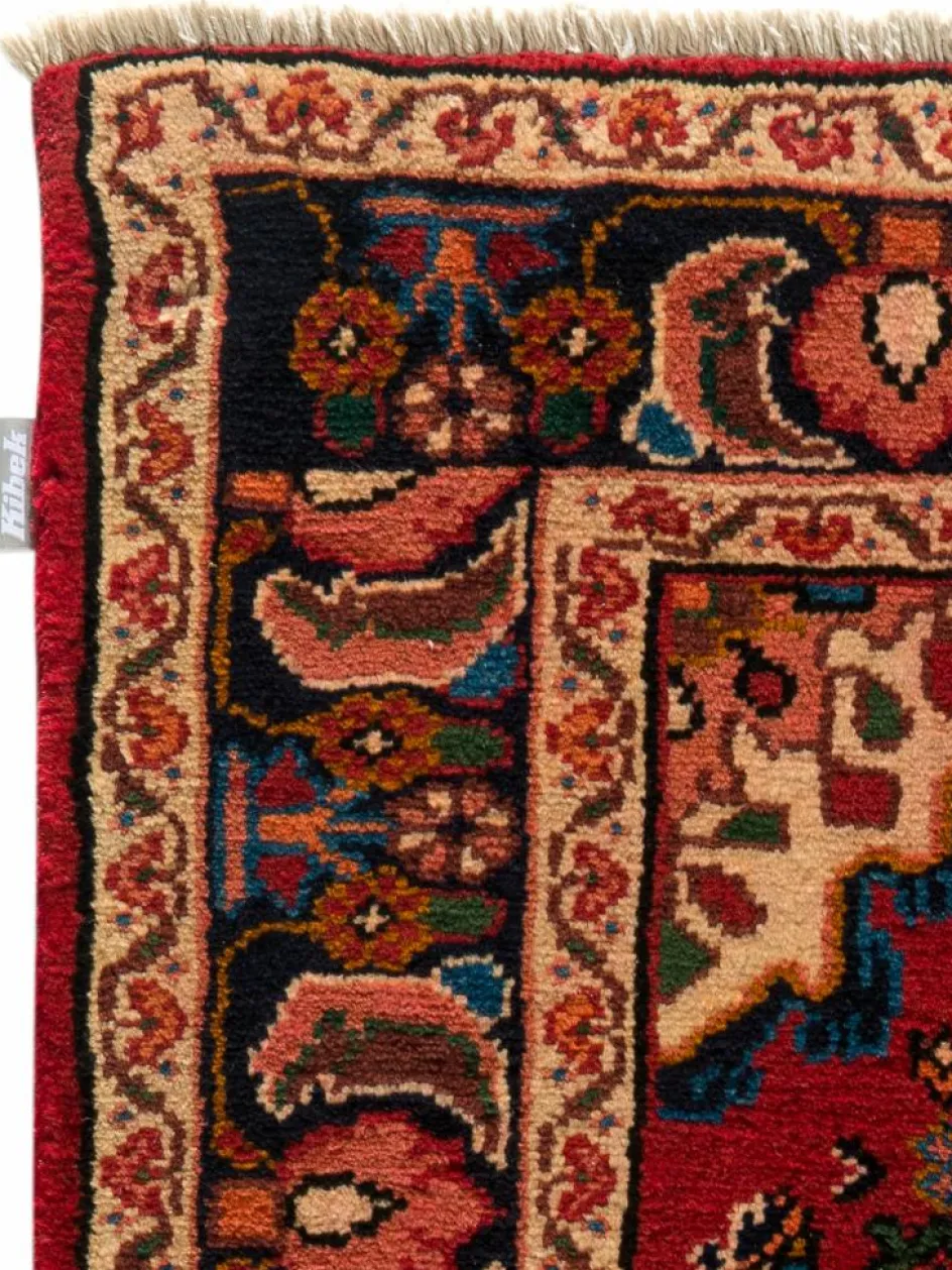 Kibek Hosseinabad Hamadan