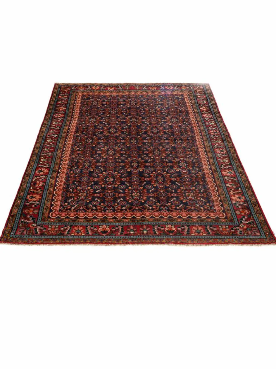 Kibek Kabutarahang Hamadan