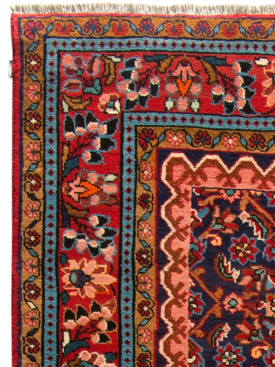 Kibek Kabutarahang Hamadan