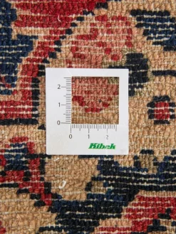 Kibek Kabutarahang Hamadan