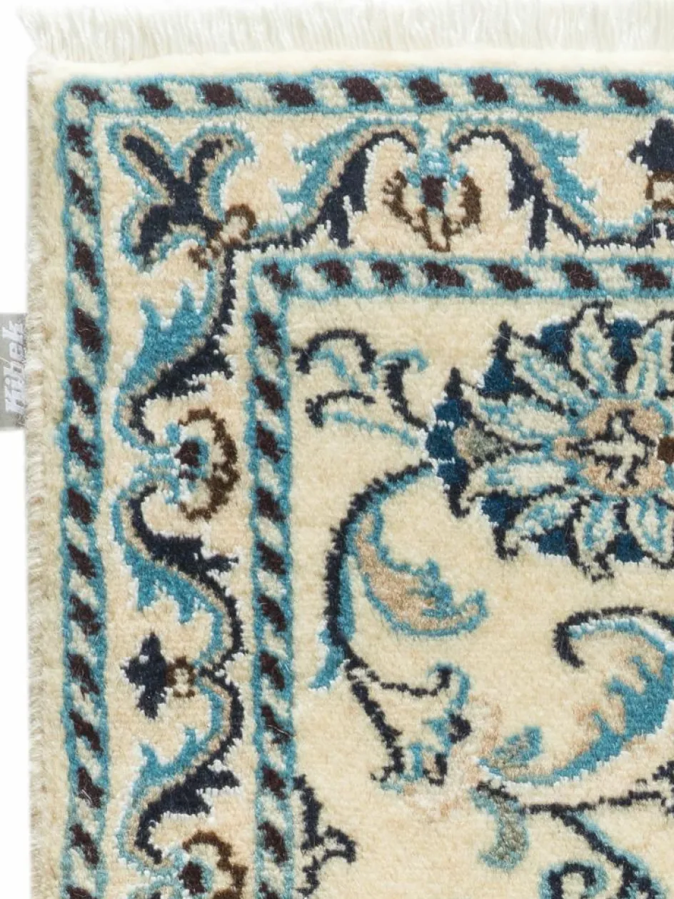 Kibek Kaschmar Nain 12 Lah