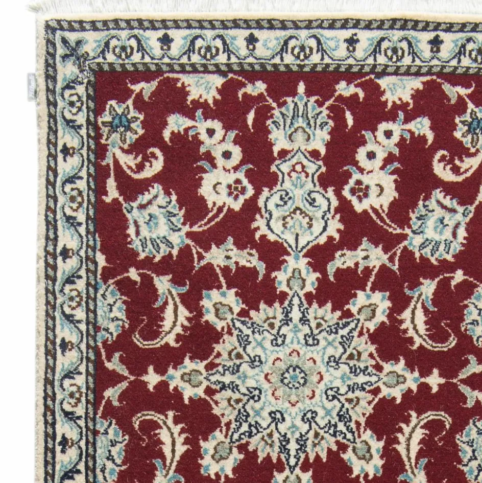 Kibek Kaschmar Nain 12 Lah