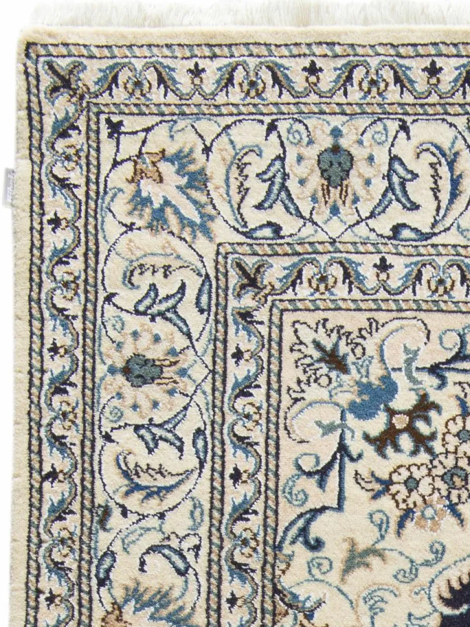 Kibek Kaschmar Nain 12 Lah