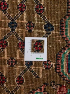 Kibek Koliai Hamadan