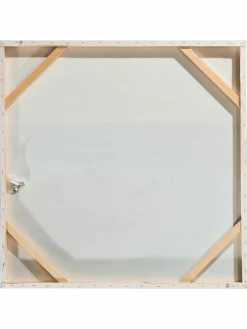 Kibek Möwen am Strand