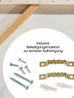 Kibek Möwen am Strand