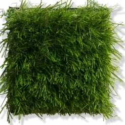 Kibek Naturale Green