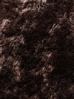 Kinder Kibek New Zealand Star