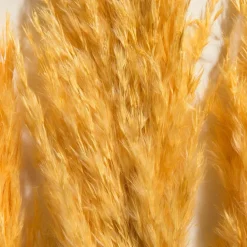 Kibek Pampasgrasbündel 3er