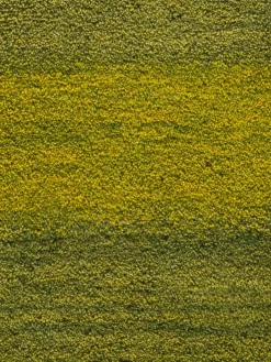 Kibek Persischer Gabbeh