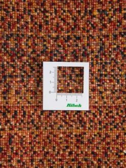 Kibek Persischer Loribaff