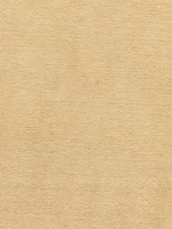 Kibek Persischer Loribaff