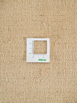 Kibek Persischer Loribaff