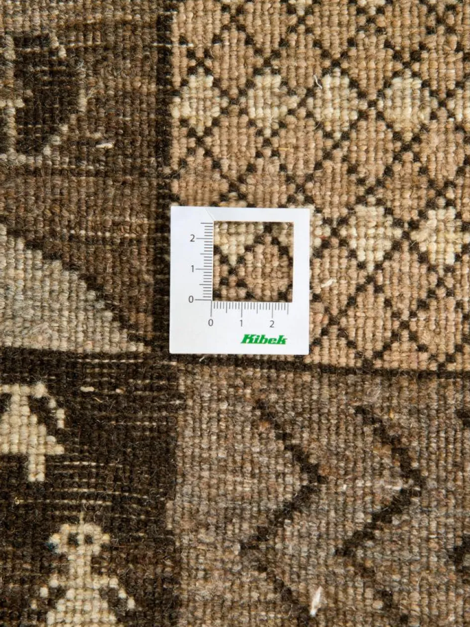 Kibek Persischer Loribaff