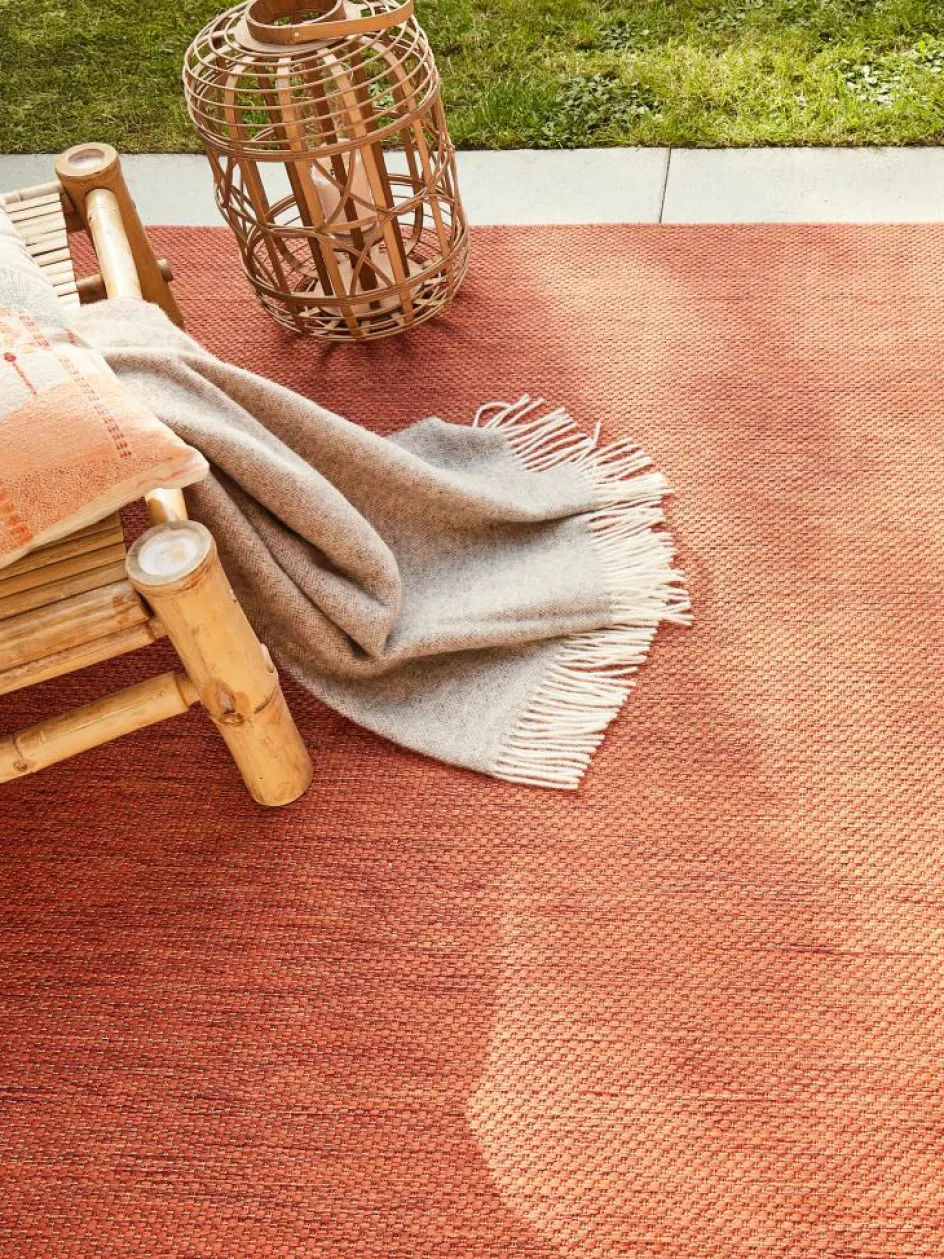 Kinder Kibek Proteus