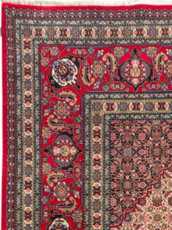 Kibek Sarough Mashayekhi