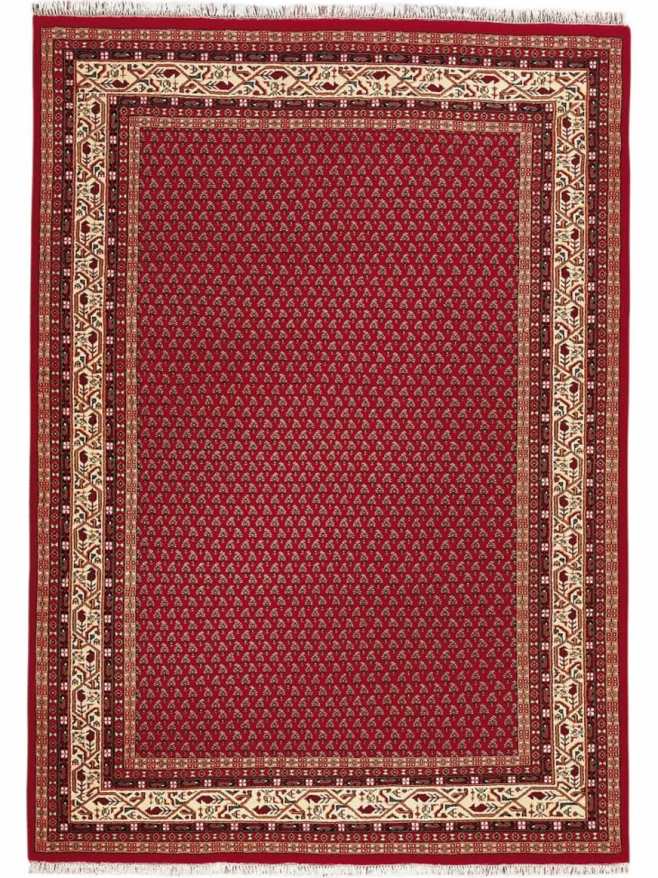 Kinder Kibek Sarough Mir