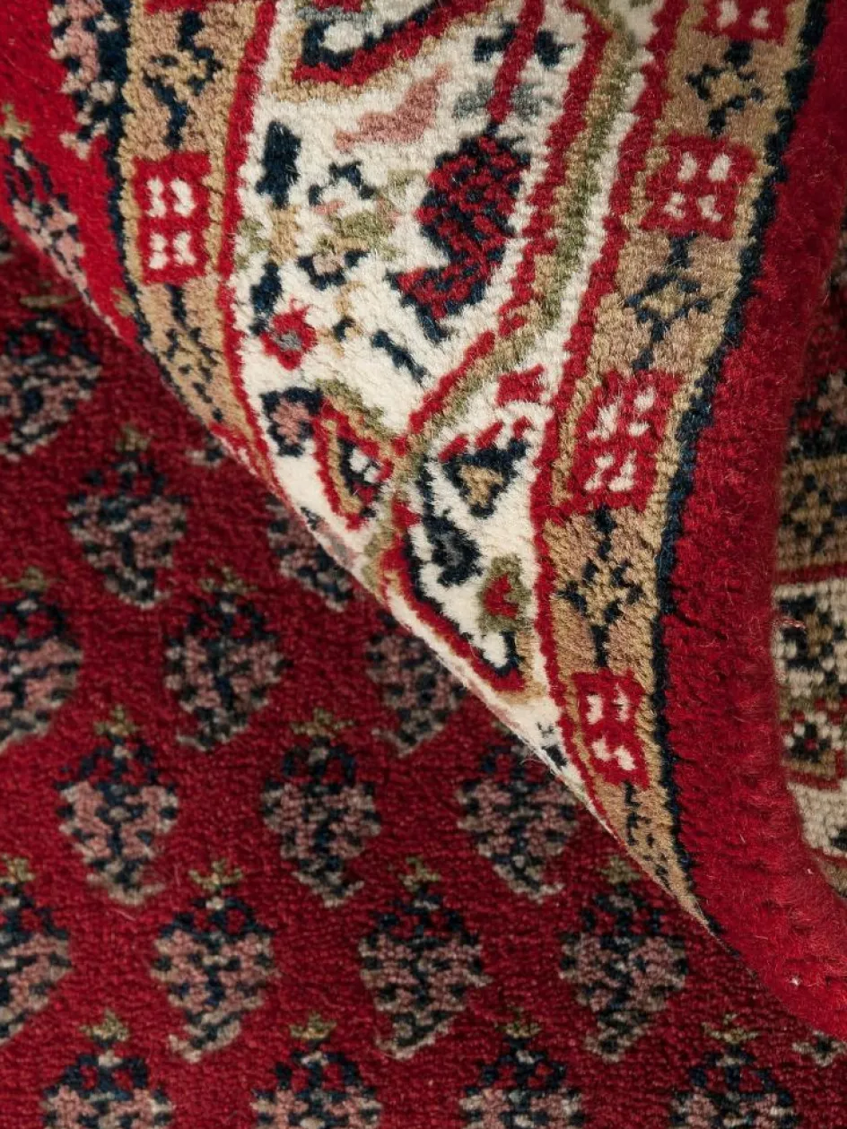 Kinder Kibek Sarough Mir