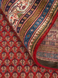 Kibek Sarough Mir Semiantik