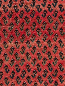 Kibek Sarough Mir Vintage