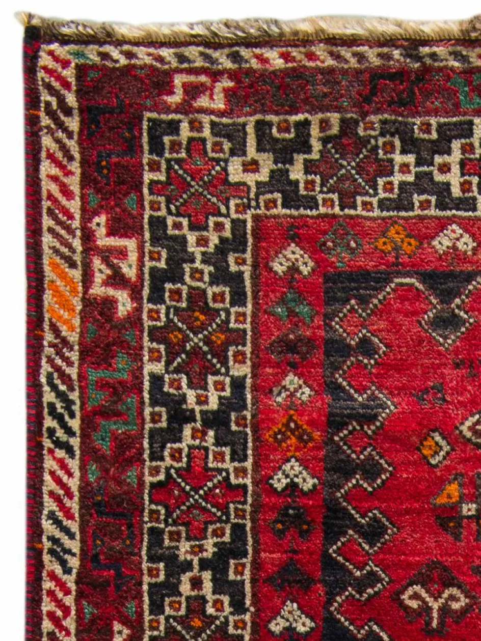 Kibek Shiraz Befarma