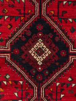 Kibek Shiraz Befarma