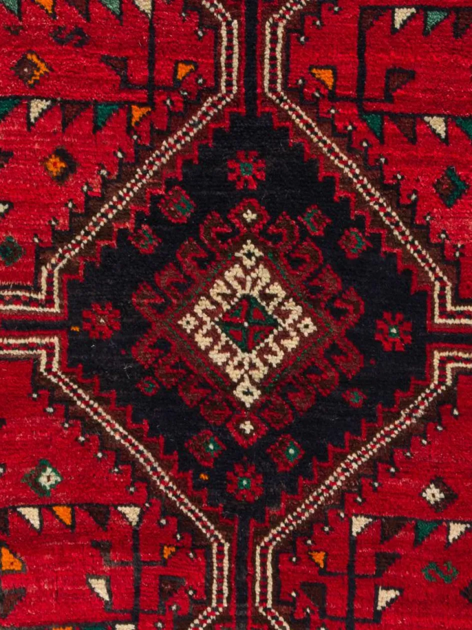 Kibek Shiraz Befarma