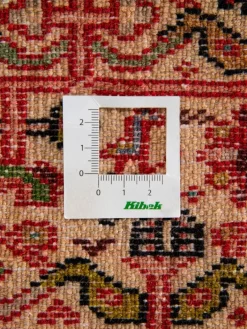 Kibek Tadjabad Hamadan