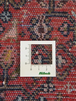 Kibek Tadjabad Hamadan