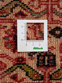 Kibek Tadjabad Hamadan