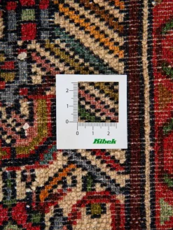 Kibek Tadjabad Hamadan