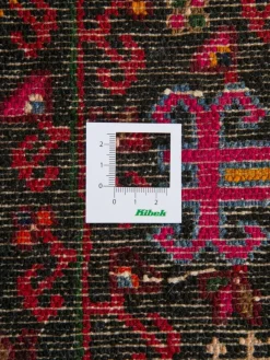 Kibek Tuiserkan Hamadan